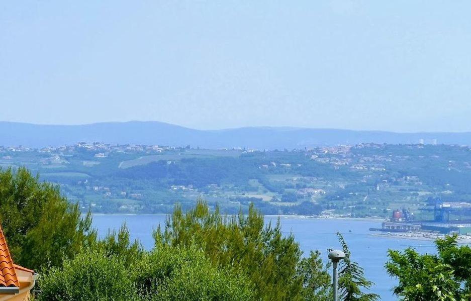 Apartmaji - Marina Style * Koper